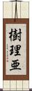 樹理亜 Scroll