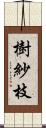 樹紗枝 Scroll