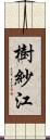 樹紗江 Scroll