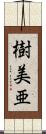 樹美亜 Scroll