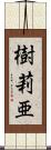 樹莉亜 Scroll