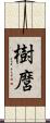 樹麿 Scroll