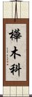 樺木科 Scroll