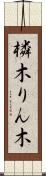 橉木 Scroll