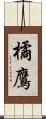 橘鷹 Scroll