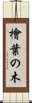 檜葉の木 Scroll