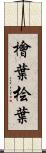 檜葉 Scroll