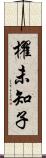 櫂未知子 Scroll