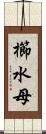 櫛水母 Scroll