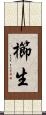 櫛生 Scroll