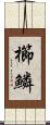 櫛鱗 Scroll
