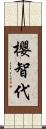 櫻智代 Scroll