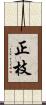 正枝 Scroll