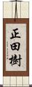 正田樹 Scroll