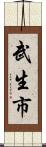 武生市 Scroll