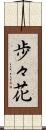 歩々花 Scroll