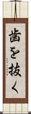 歯を抜く Scroll