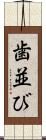 歯並び Scroll