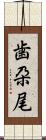 歯朶尾 Scroll