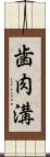 歯肉溝 Scroll