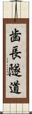 歯長隧道 Scroll