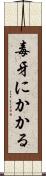 毒牙にかかる Scroll