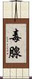 毒腺 Scroll