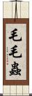 毛毛蟲 Scroll