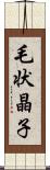毛状晶子 Scroll