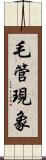 毛管現象 Scroll