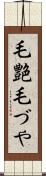 毛艶 Scroll