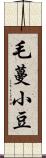 毛蔓小豆 Scroll