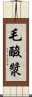 毛酸漿 Scroll