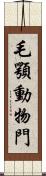 毛顎動物門 Scroll