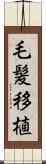 毛髪移植 Scroll