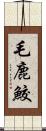 毛鹿鮫 Scroll