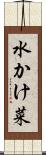 水かけ菜 Scroll