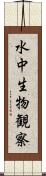 水中生物観察 Scroll