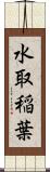 水取稲葉 Scroll