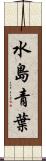 水島青葉 Scroll
