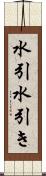 水引 Scroll