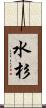水杉 Scroll