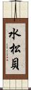 水松貝 Scroll