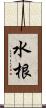 水根 Scroll