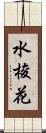 水梭花 Scroll