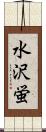 水沢蛍 Scroll