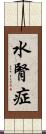 水腎症 Scroll