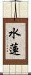 水蓮 Scroll
