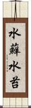 水蘚 Scroll