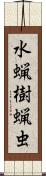 水蝋樹蝋虫 Scroll